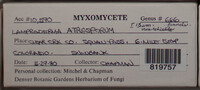 Image Associated With the Occurence